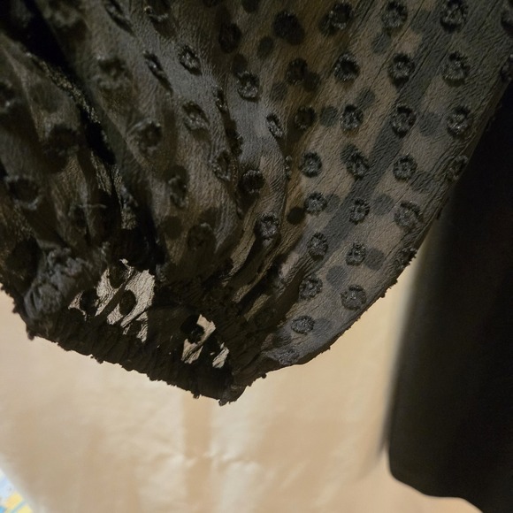 Ann Taylor Black Semi Sheer Long Sleeve Petite Dress Sz 14P - Picture 5 of 6